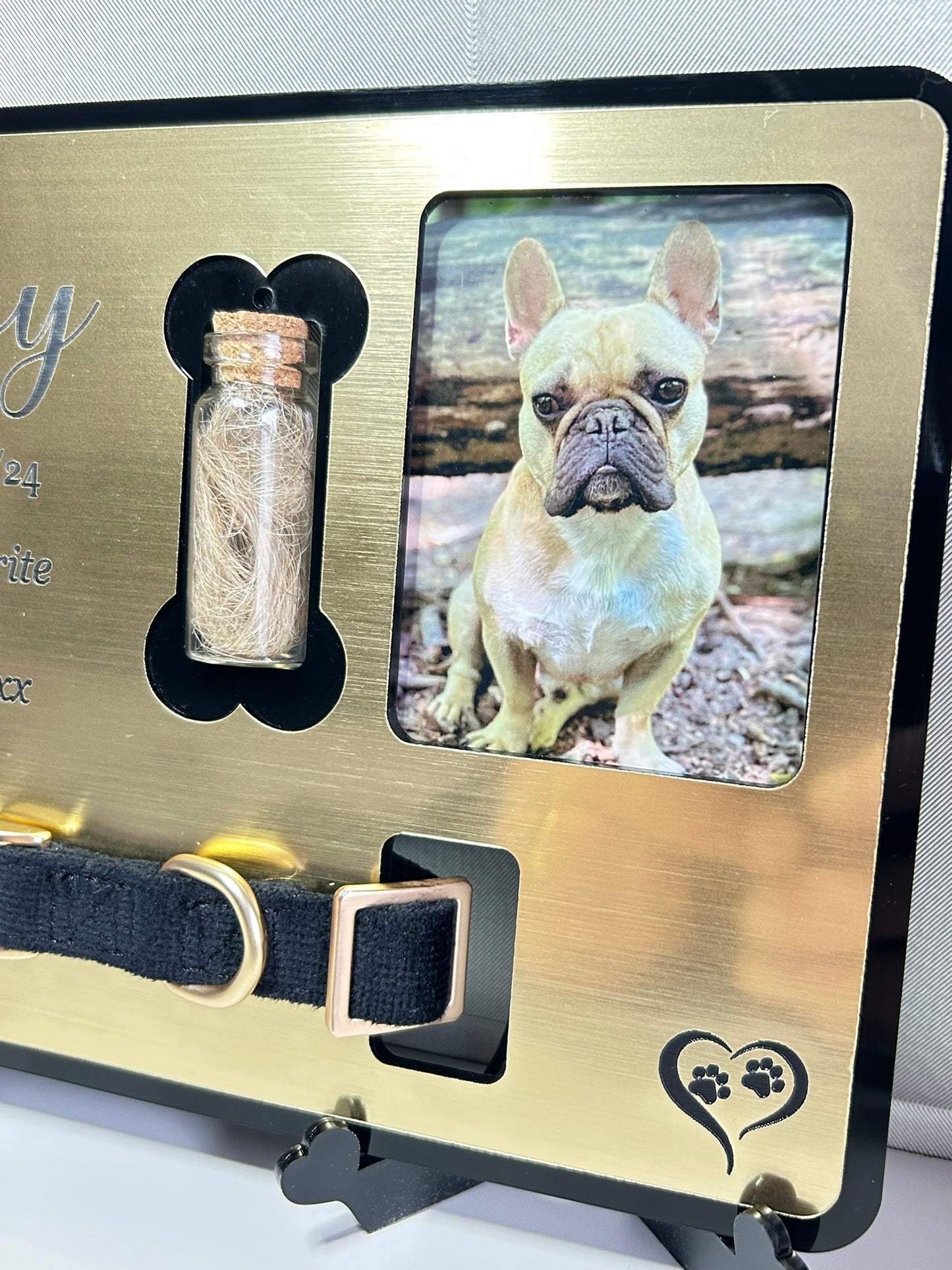 Pet Memorial Plaque, Pet fur Keepsake, Cat Memorial Collar Frame With Photo Gold