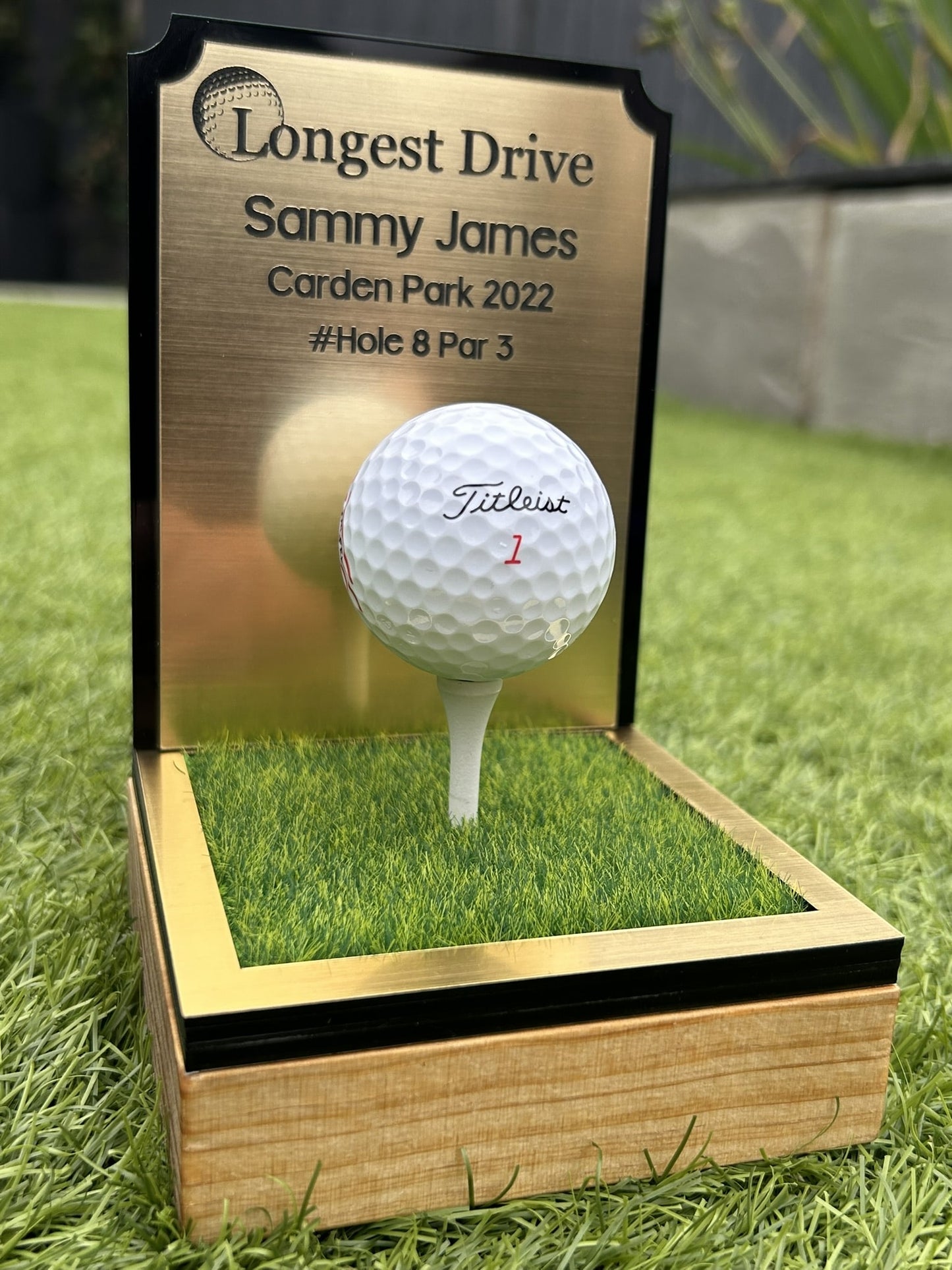 Hole in one, Golf Gifts, Longest Drive, Nearest the pin, personalised Plaques, Keepsakes ,Gold