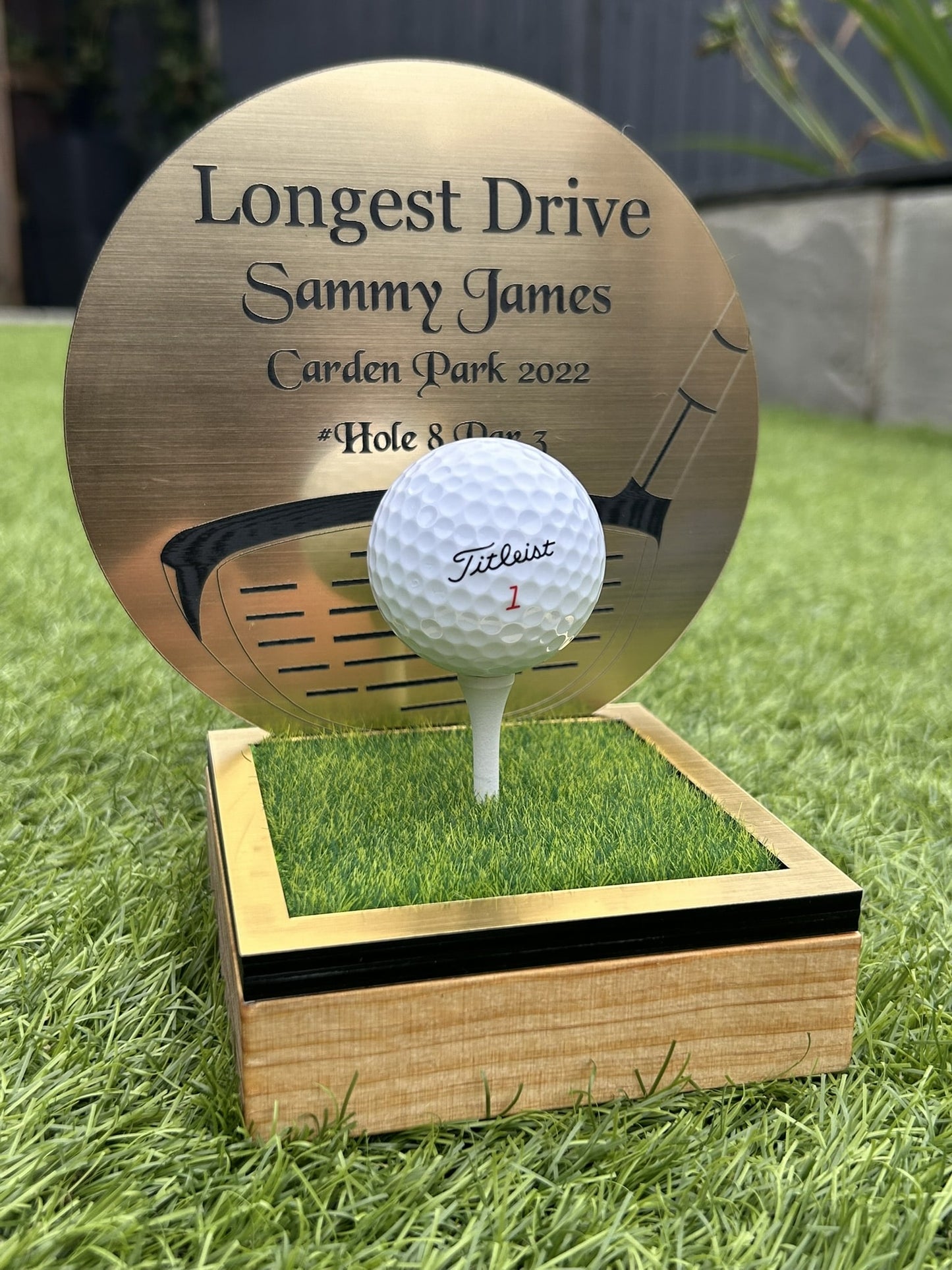 Hole in one, Golf Gifts, Longest Drive, Nearest the pin, personalised Plaques, Keepsakes ,Gold Driver