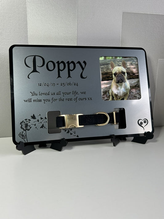 Pet Memorial Plaque, Pet fur Keepsake, Dog Memorial Collar Frame With Photo Silver
