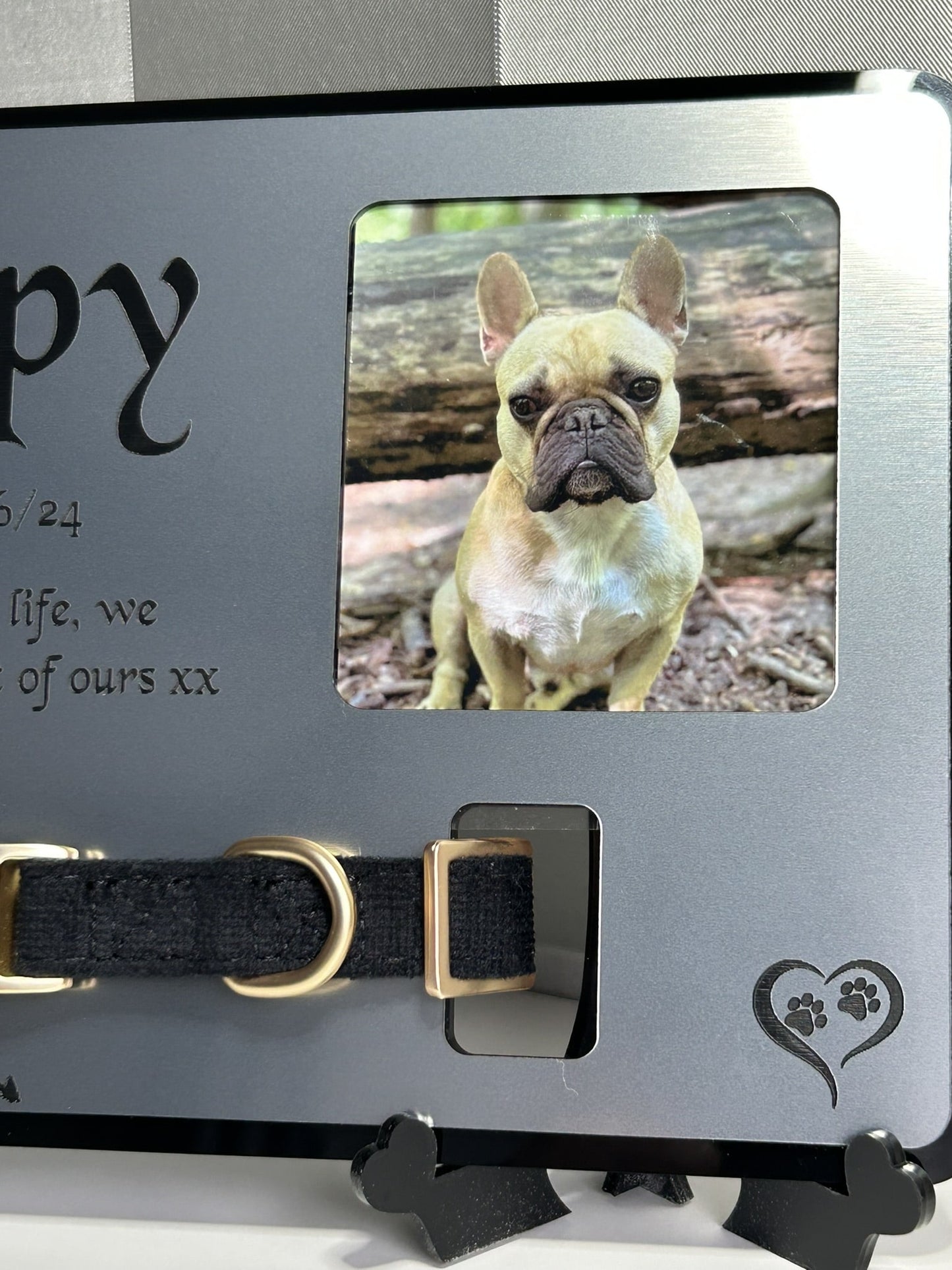 Pet Memorial Plaque, Pet fur Keepsake, Dog Memorial Collar Frame With Photo Silver