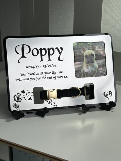 Pet Memorial Plaque, Pet fur Keepsake, Dog Memorial Collar Frame With Photo Gold
