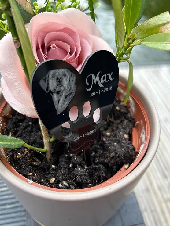 Pet Memorial Plaques Cat, Dog, Rabbit Gifts with Stake Marker Personalised for Garden Outdoors